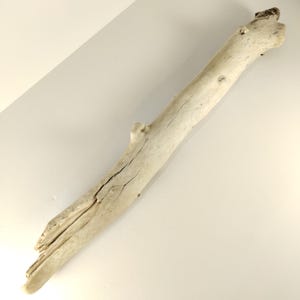 Large Aegean Driftwood Branch: Coastal Home Decor, DIY Art (79cm/31in