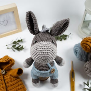 Haakpatroon voor een baby-ezeltje (amigurumi): inclusief jasje en accessoires (PDF-patroon)