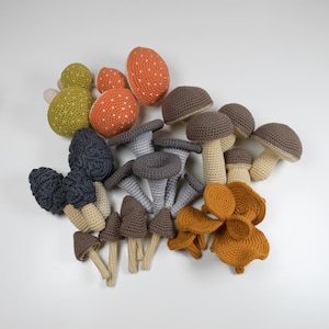 Mushrooms Crochet Pattern Collection, Easy Amigurumi Crochet Pattern