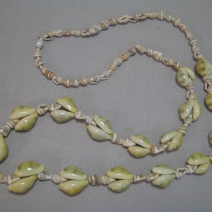 May include: A necklace made of natural seashells. The necklace features a strand of small, light-colored shells interspersed with larger, pale green and cream-colored cowrie shells. The necklace is laid out on a gray surface.