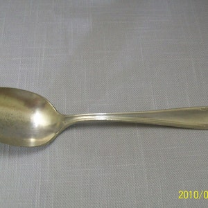 Bridal Wreath Oneida Community Par Plate Table Spoon Actual 1915