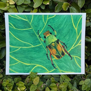 Flower Beetle Watercolor Art Print - Insect Wall Art, Nature Illustration, Signed Painting, Bug, Wildlife Conservation, Gift, 8.5x11 Glossy