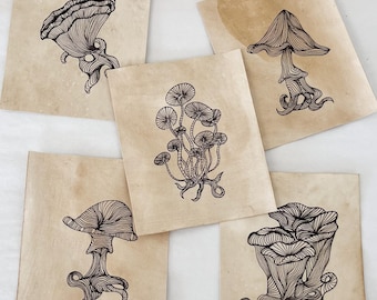 Original Mushroom Line Art on Coffee-Dyed Paper 4x5 Illustration