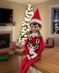 Elf On The Shelf 67 Hype Chain Christmas Decor Multicolor New