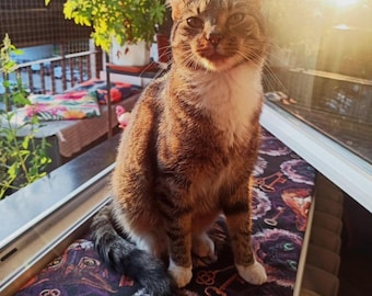 Custom Velvet Windowsill Cat Bed, Handmade Cat Perch, Made to Order Cat Window Seat, windowsill bed, window sill