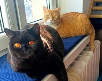 Custom Velvet Windowsill Cat Bed, Handmade Cat Perch, Made to Order Cat Window Seat, windowsill bed, window sill