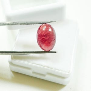 May include: A polished oval-shaped gemstone with a deep red hue and visible internal inclusions. The stone is held by a pair of silver-toned metal tweezers, showcasing its translucent quality and smooth, rounded surface against a white background.