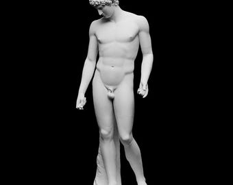 Estatua de Antinoo Capitolino: escultura romana antigua impresa en 3D, diseño artístico detallado, ¡regalo único para entusiastas de la historia y el arte!