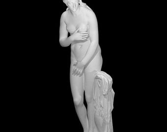Capitoline Venus Statue - Intricate 3D Printed Roman Goddess Sculpture, Perfect for Home Decor, Office Accent, Unique Gift for Art Lovers!
