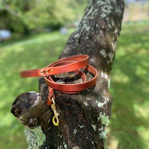 May include: A rolled-up, reddish-brown leather dog lead with a gold-coloured clasp. The lead is lying on a tree branch with a blurred green background. The lead has a small embossed logo.