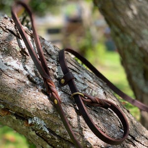 May include: A brown leather dog lead with a braided handle and brass fittings. The lead is looped and appears to be resting on a tree branch. The background is blurred, suggesting an outdoor setting.