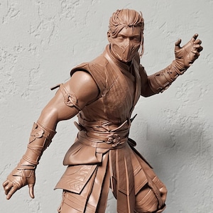 Sub-Zero 3D Printed Figure, Mortal Kombat Collectible Figure, Unpainted