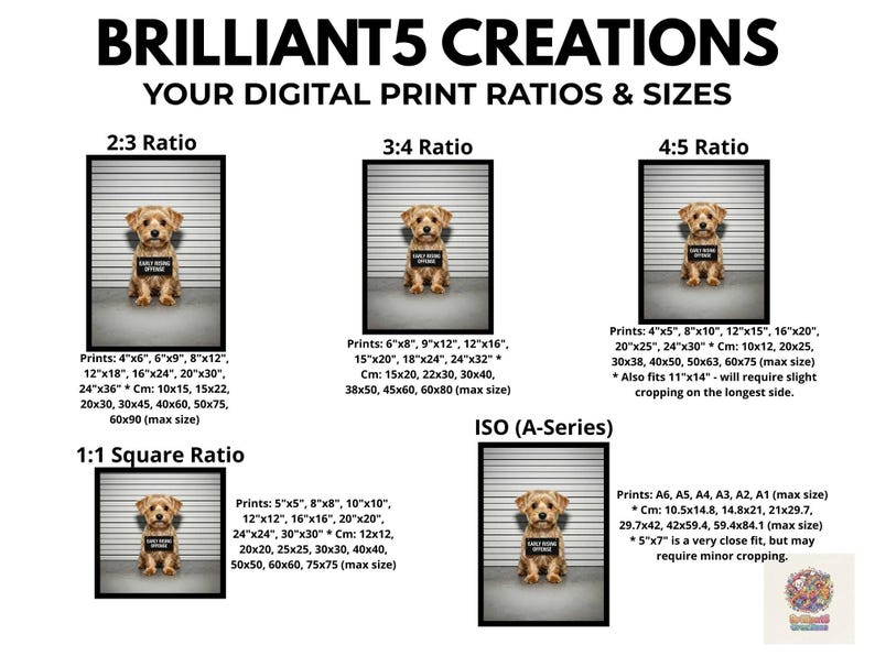 Early Riser Dog Morkie Mugshot Print | Funny Early Riser Dog Art | Pet Shaming Wall ...