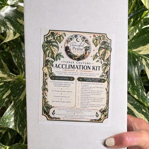 Könnte beinhalten: Eine rechteckige weiße Schachtel mit einem Etikett für das The Peaceful Prune Gewebekultur-Akklimatisierungsset. Das Etikett enthält botanische Illustrationen, eine Liste des Inhalts und eine Anleitung zur Pflanzenpflege.