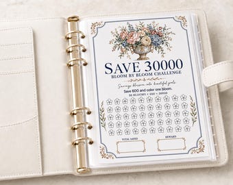 Save 30000 Challenge Printable, Money Savings Tracker, Cash Stuffing Budget Binder PDF, A4 US Letter A5 Half Letter