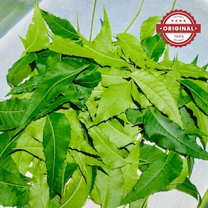 Neem leaves pack, Dried Azedarach Indica, Natural Jamaican Neem Leaves Cut, Wildcraft Authentic Organic Flavor