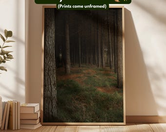 Forest Photography Print - Unframed - Moody Wall Art, Photo Print for Living Room & Bedroom, Nature Home Decor