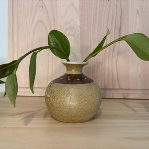 May include: A small, round, tan ceramic vase with a brown band and dotted design near the top. Green leaves and stems extend from the vase. The vase is on a wooden surface.