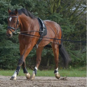 Pessoa Training System for Horses – Lunging Training Aid with Ropes & Artificial Sheepskin –  For Collection, Balance, Muscle Building