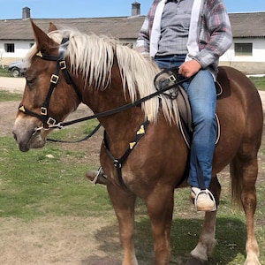Bridon en cuir fait main avec rênes et martingale pour plastron - Harnais d'équitation noir et doré, harnais d'équitation décoratif