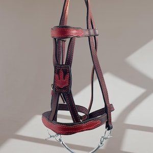 Brida de cuero para caballos, 2 en 1, ajustable al cabestro, roja, hecha a mano con bocados / Duradera para montar, equipo ecuestre / Fabricada en Ucrania