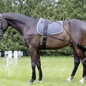 Pessoa Training System | Synthetic Horse Lunging Aid | Combi Trainer with Elastic Straps & Soft Padding