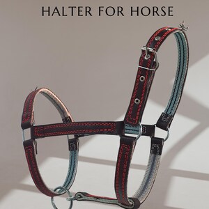 Premium Leather Halter for Horses, Cows, Bulls & Calves – Comfortable, Durable, Adjustable | Animal-Friendly Tack