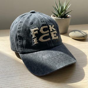 May include: A dark gray baseball cap with the embroidered text "FCK ICE" in a tan color. The cap is sitting on a wooden surface, with a small potted plant and a stone in the background.