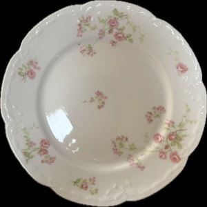 Haviland Limoges France Dinner Plate
