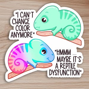 May include: A sticker with two cartoon chameleons, one green and one pink and blue, perched on branches. Text includes "I can't change colour anymore" and "Hmmmm... maybe it's a reptile dysfunction."