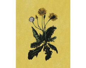 Dandelion Art Print, Watercolor Paper, Yellow Floral Illustration