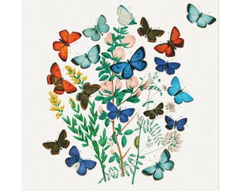 Victorian Butterfly Collage Matte Art Print