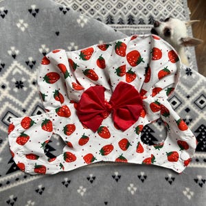 Strawberry Dress for Dogs, Cats, Small animals