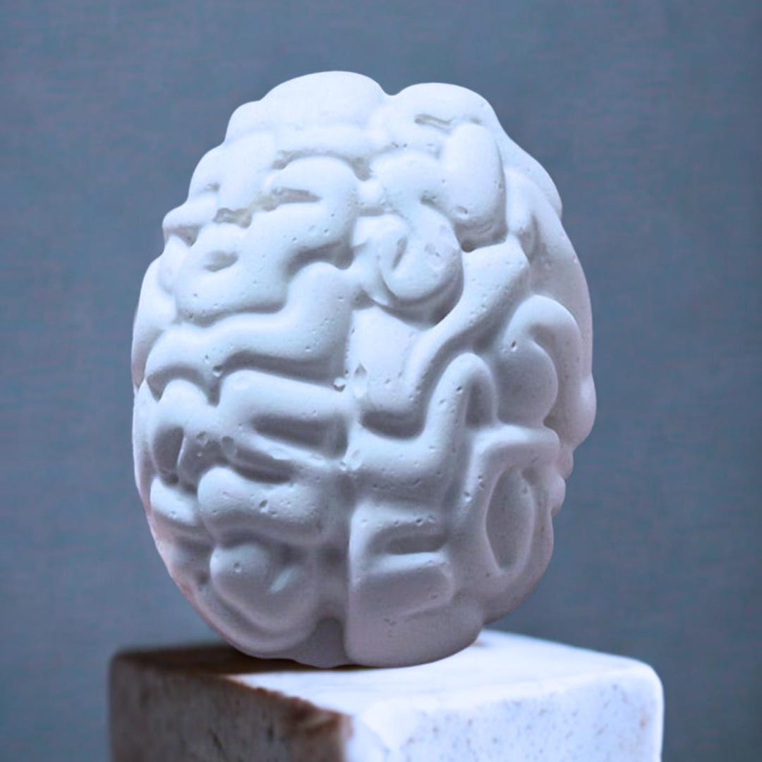 Handmade Plaster Brain Paint Kit - 2x Kits: Mindful DIY Activity - Etsy