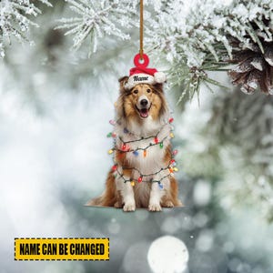 May include: A Christmas ornament featuring a dog wearing a Santa hat and wrapped in colorful Christmas lights. The ornament has a red loop for hanging and the text "Name" on the hat. The text "NAME CAN BE CHANGED" is also present.