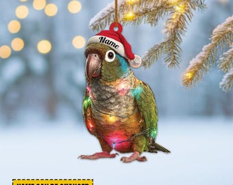 Personalized Green Cheek Conure Ornament, Green Cheek Conure Christmas Lights Ornament Gift, Parrot Bird Christmas Tree Decor TD-1022-Q19V