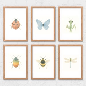 May include: Six framed insect art prints. The prints feature watercolor illustrations of a ladybug, butterfly, praying mantis, beetle, bumblebee, and dragonfly. Each insect is depicted in detail against a white background, framed in light brown wood.