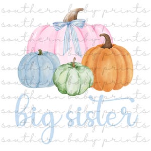 Puede incluir: Ilustración en acuarela de calabazas en rosa, naranja, azul y verde. Una calabaza rosa tiene un lazo a rayas azules. Las palabras "big sister" están escritas en escritura azul claro debajo.