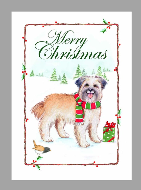 Berger Des Pyrenees Poil Long Dog Christmas Cards Box Of 16 Cards Envelopes