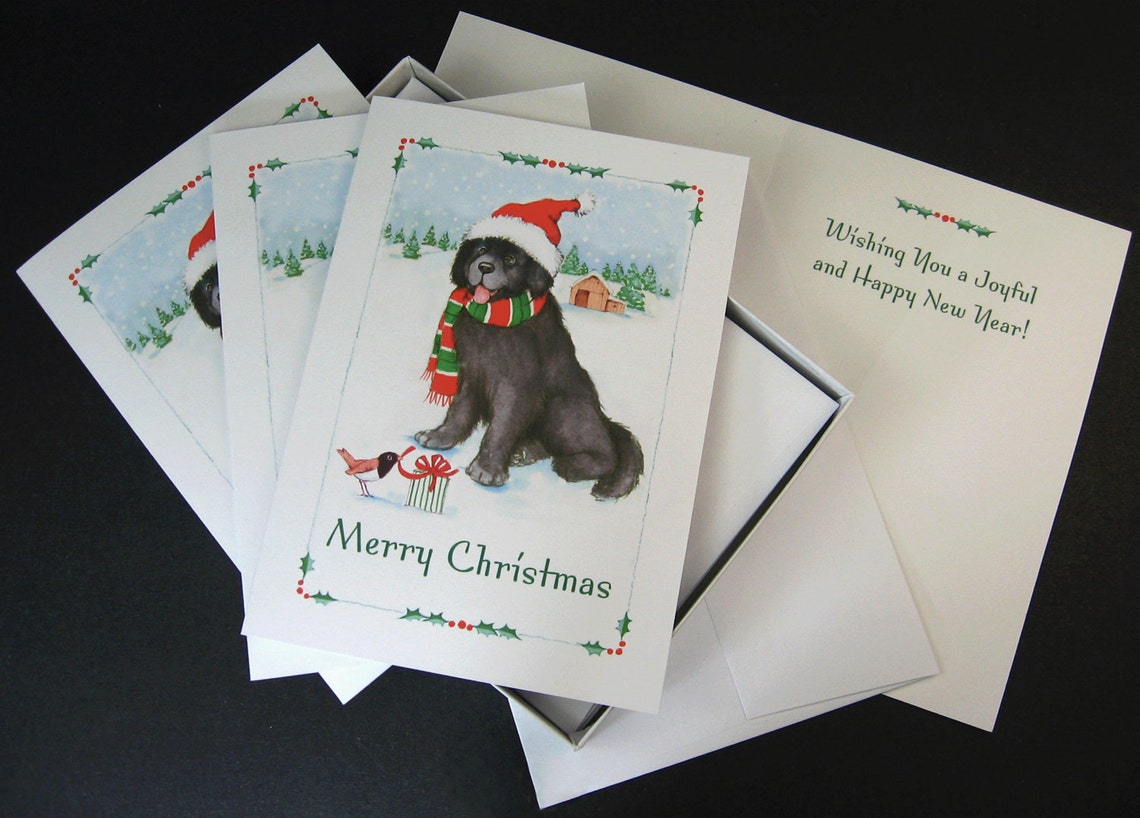 Newfoundland Dog Christmas Cards Box of 16 Cards and 16 Etsy