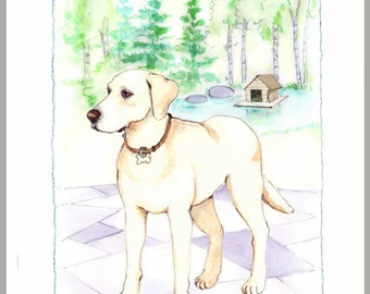 Yellow Lab by duck pond, box 16 cards with envelopes