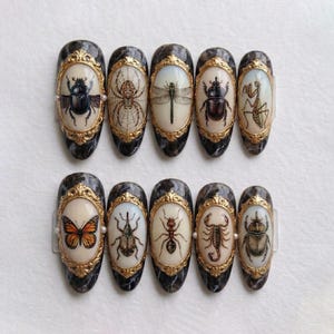 Handmade Vintage Insect Taxidermy Press On Nails | 3D Gold Frames, Beetle, Spider Art | Almond Nails for Dark Academia & Gothic Vibes