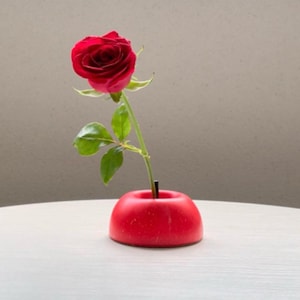 Refresh Apple Ikebana Flower Vase – Handmade Tip-Proof Vase – Modern Japanese-Style Decorative Vase for Home or Office – Unique Gift Idea