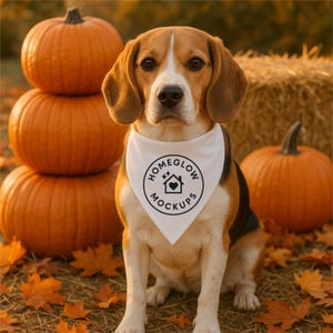 May include: A beagle dog wearing a white bandana with a black circular logo, sitting in front of pumpkins and hay bales. The pumpkins are orange, and the leaves are autumn colors. The logo on the bandana says "HOMEGLOW MOCKUPS".