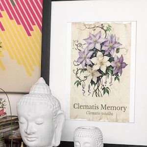 Clematis Memory – Para impresión de arte floral digital / Símbolo de reflexión y gracia emocional / Elegante decoración de pared botánica.