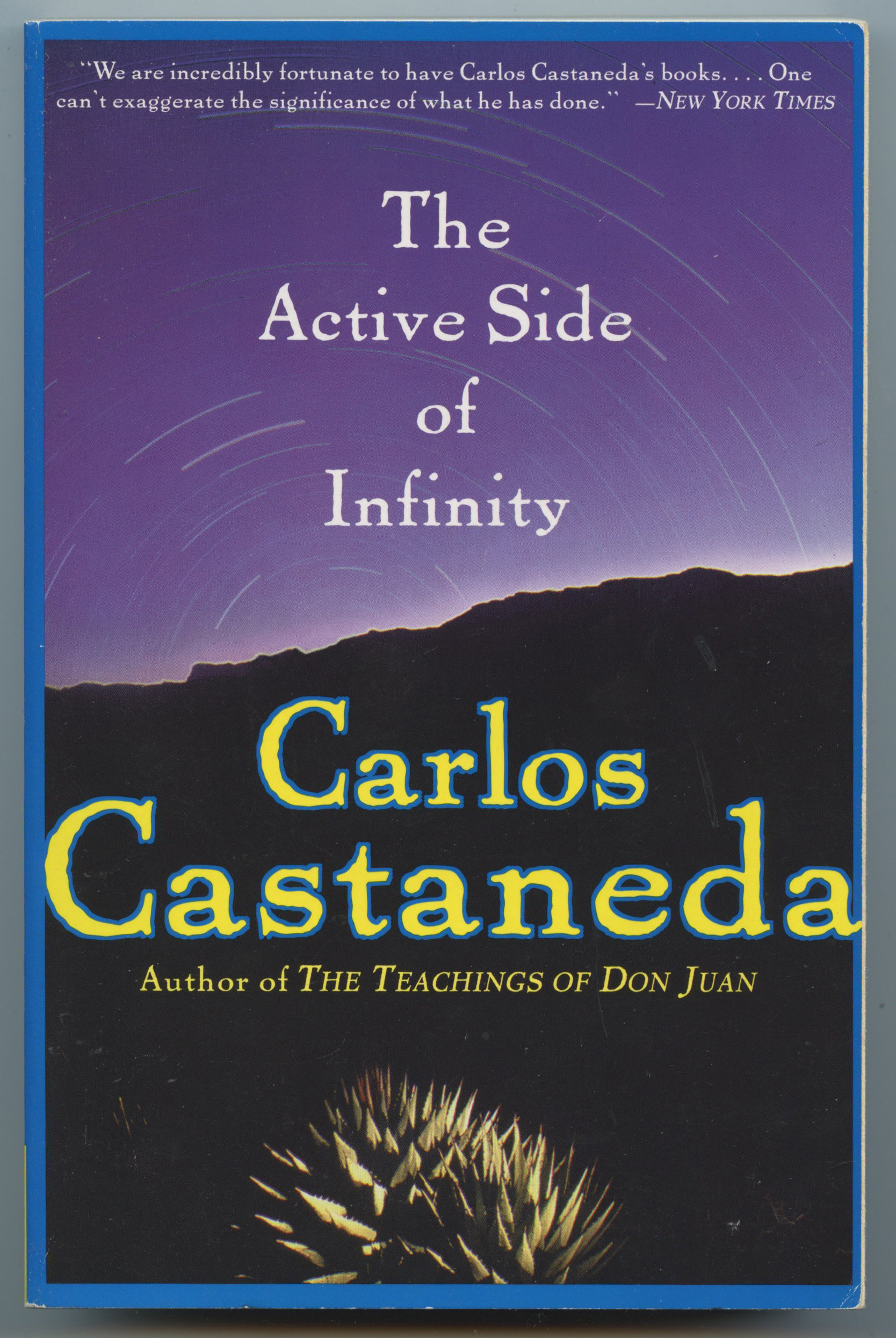 Carlos Castaneda Active Side Of Infinity Don Juan Revisited Etsy Canada