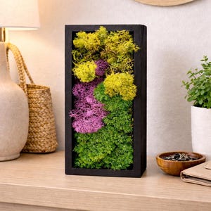 Luxury Preserved Moss Wall Art | Colorful Botanical Frame | Handmade Modern Wall Decor | Unique Gift for Home & Office