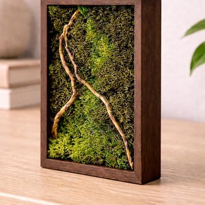 Preserved Moss Wall Art Frame 7x5 · Minimalist Nature Decor · Rustic Wood Moss Art · Zen Green Wall Decor · Unique Gift