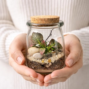 Mini Closed Terrarium with Cork Lid · Live Fittonia Plant · Tiny Glass Jar Garden · Desk Decor · Unique Gift
