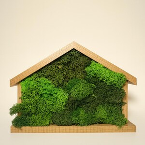 Preserved Moss House Decor · 8x6 Moss Wall Art · Wooden House Frame · Minimalist Nature Decor · Unique Housewarming Gift